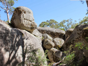 Bald Rock National Park