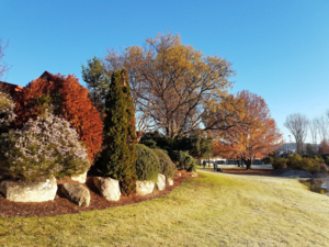 Granite Belt Wine Tourism