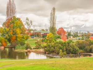 Stanthorpe