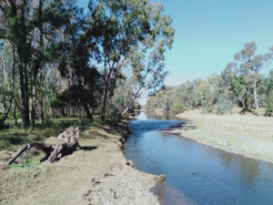 Texas QLD